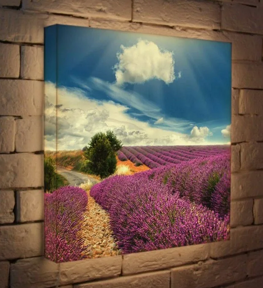 Photo Restoration Services